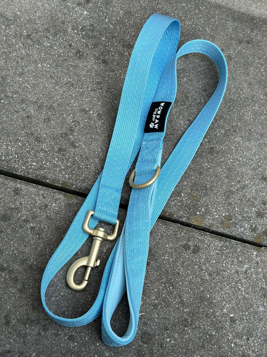 Standard Hundeleine S Länge 1,5m Hellblau Edition