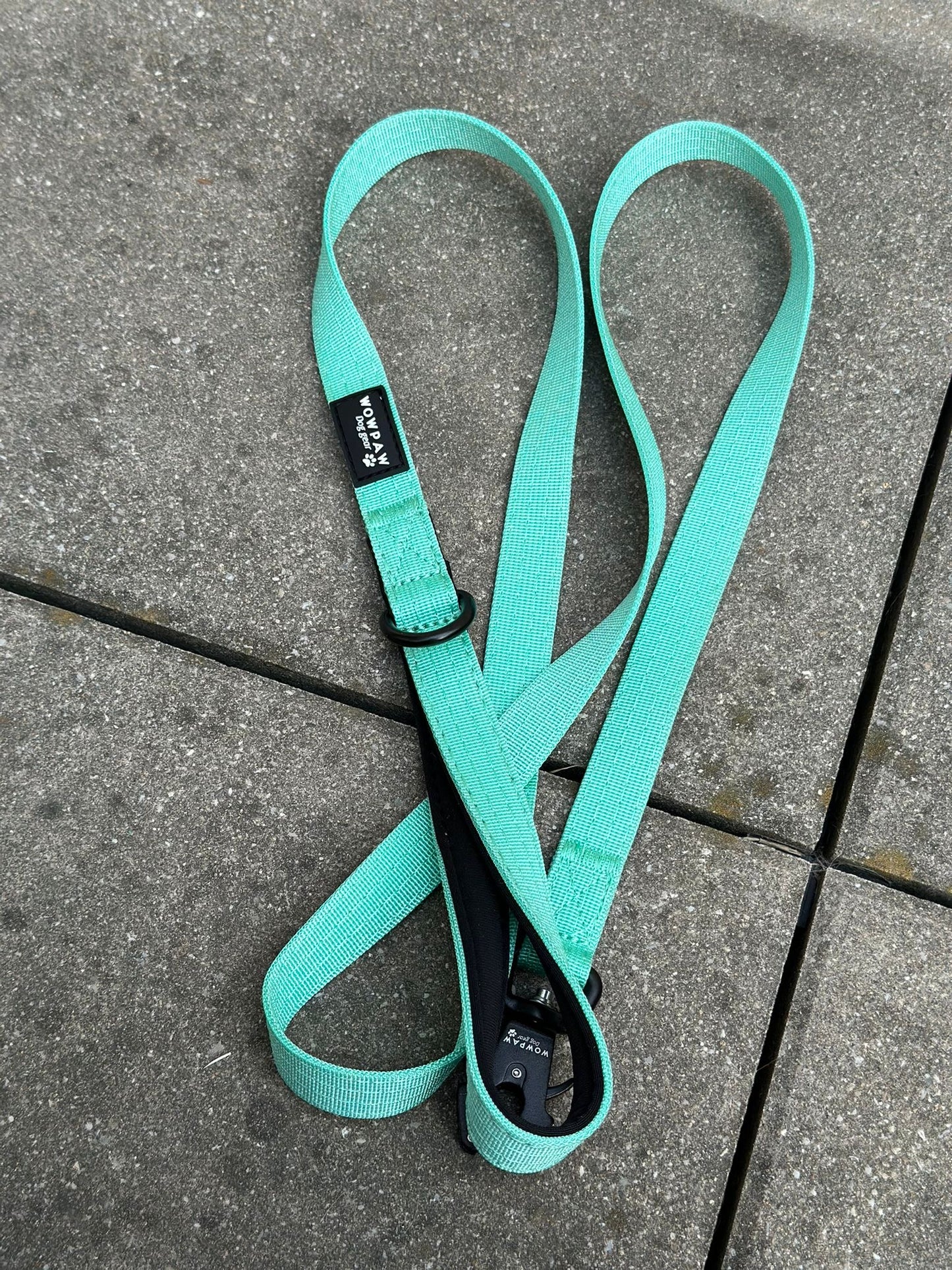 Taktische Hundeleine ULTRA LIGHT SOFTLINE XXS Mint – 1,5 m mit Mini-Froschkarabiner