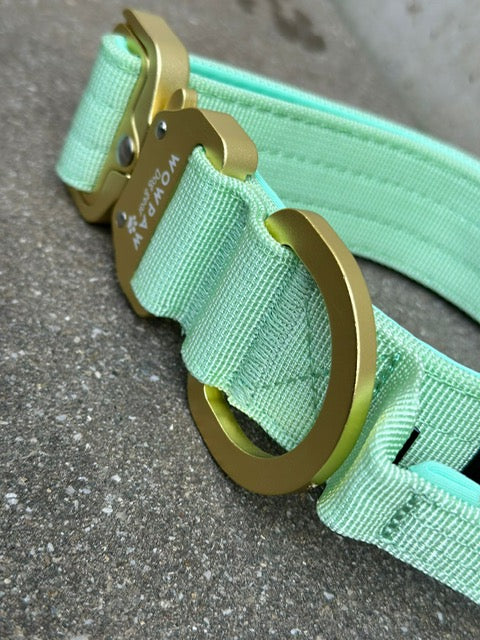 Taktisches Hundehalsband ULTRA LIGHT 3,8cm Pistaziengrün Edition L