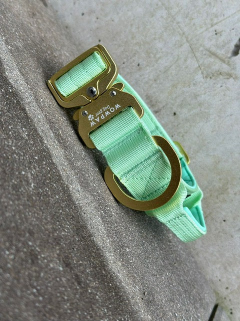 Taktisches Hundehalsband ULTRA LIGHT 3,8cm Pistaziengrün Edition S