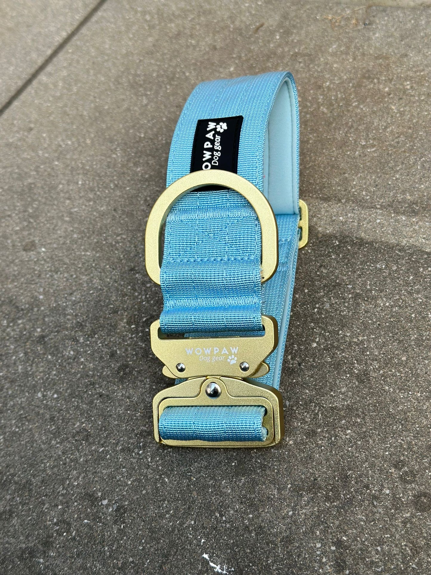 Collare tattico per cani di alta qualità blu royal taglia M