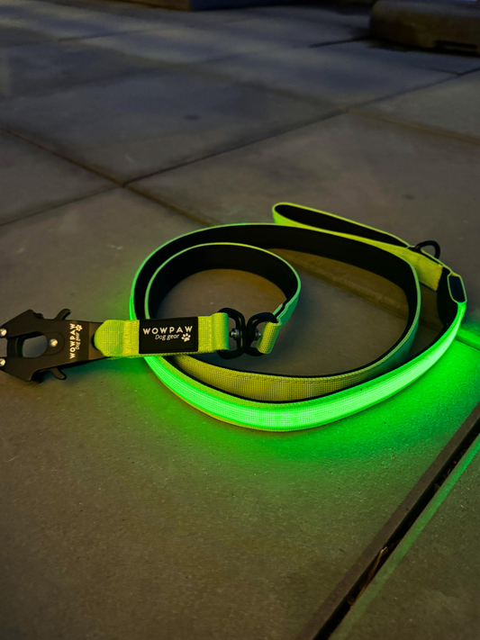 Guinzaglio tattico per cani con moschettone a rana, girevole a 360°, lunghezza 1,8 m, verde neon