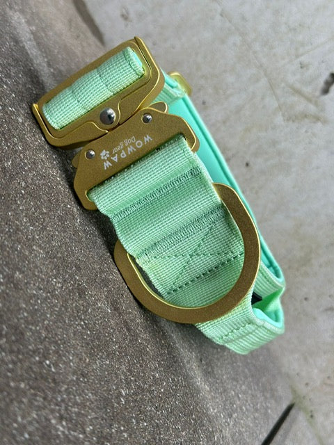 Taktisches Hundehalsband ULTRA LIGHT 5cm Pistaziengrün Edition S