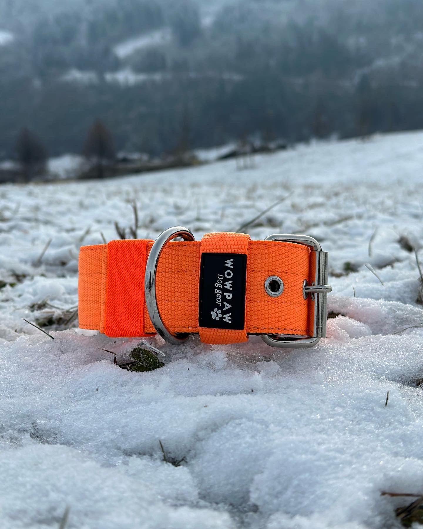 Hochwertiges Basic Hundehalsband Neonorange Größe M