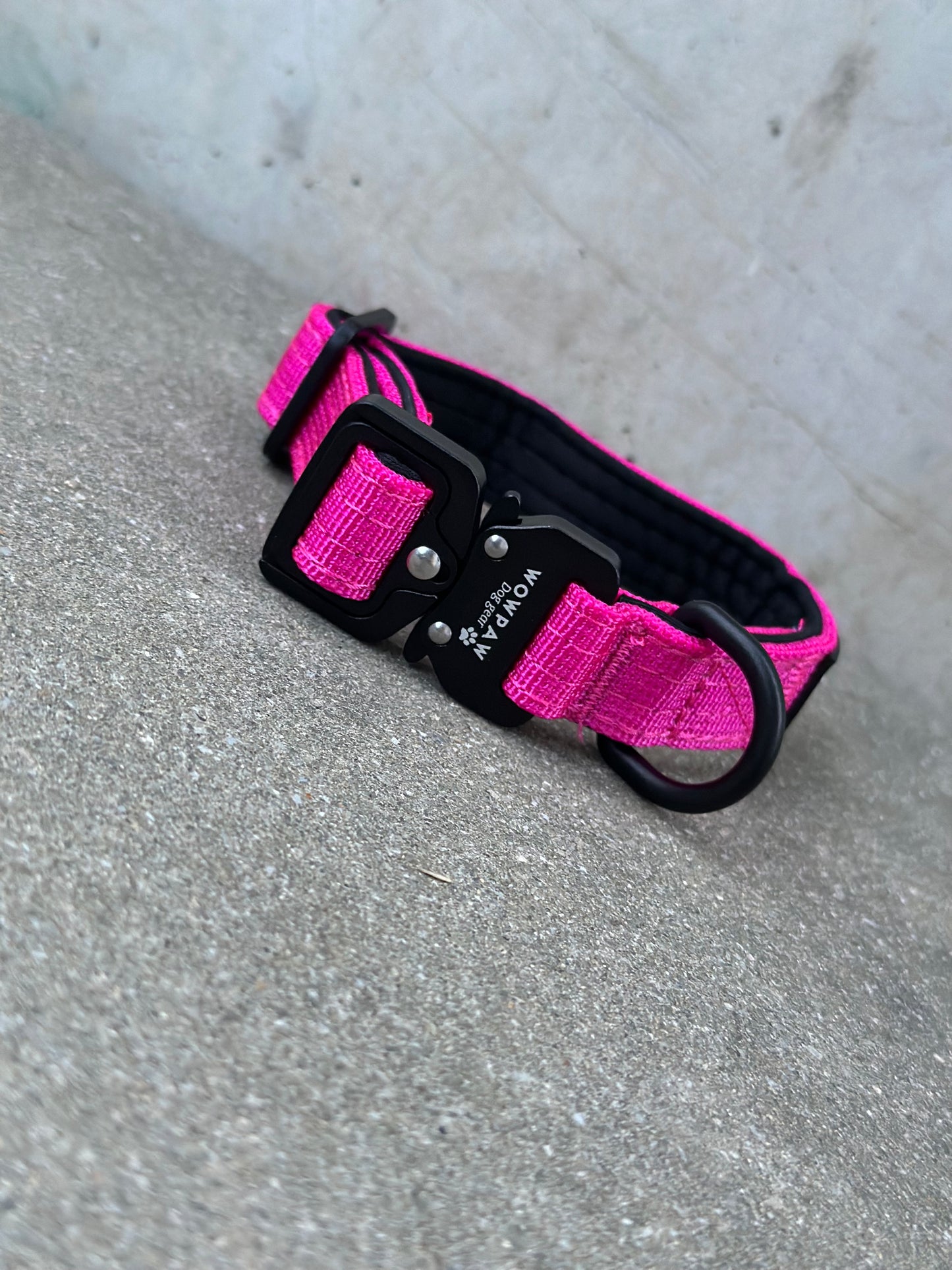 Hochwertiges taktisches Hundehalsband XXS 2cm Magenta