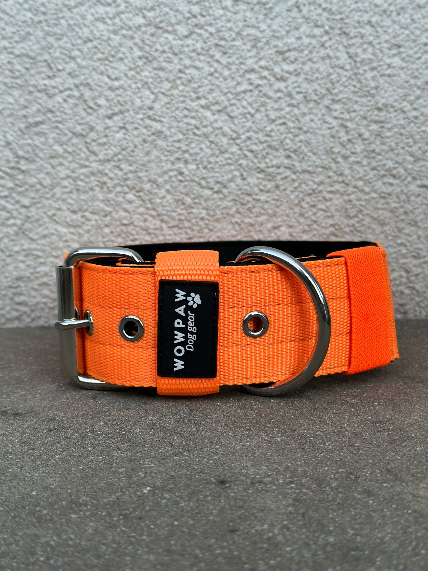 Hochwertiges Basic Hundehalsband Neonorange Größe S