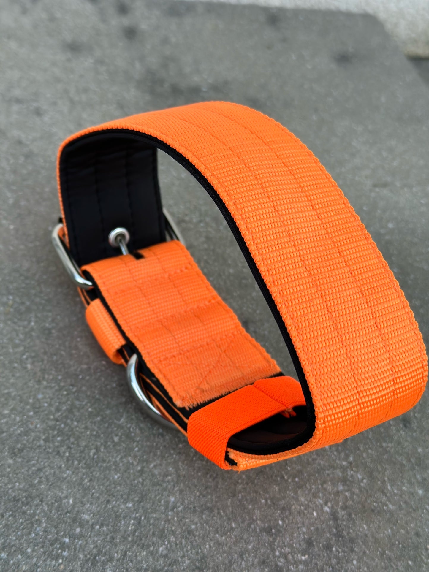 Hochwertiges Basic Hundehalsband Neonorange Größe M