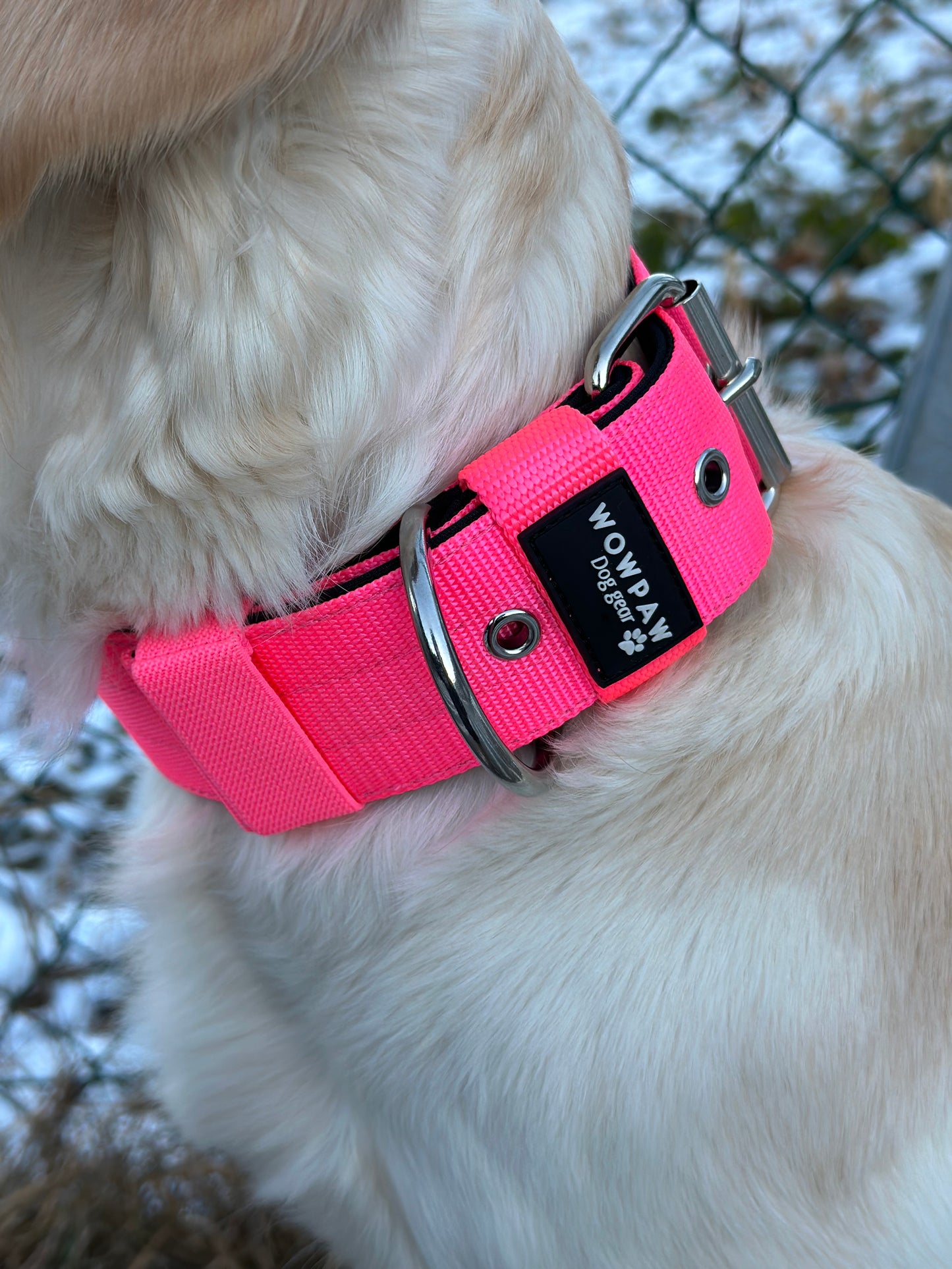 Collare per cani basic di alta qualità rosa fluo taglia M