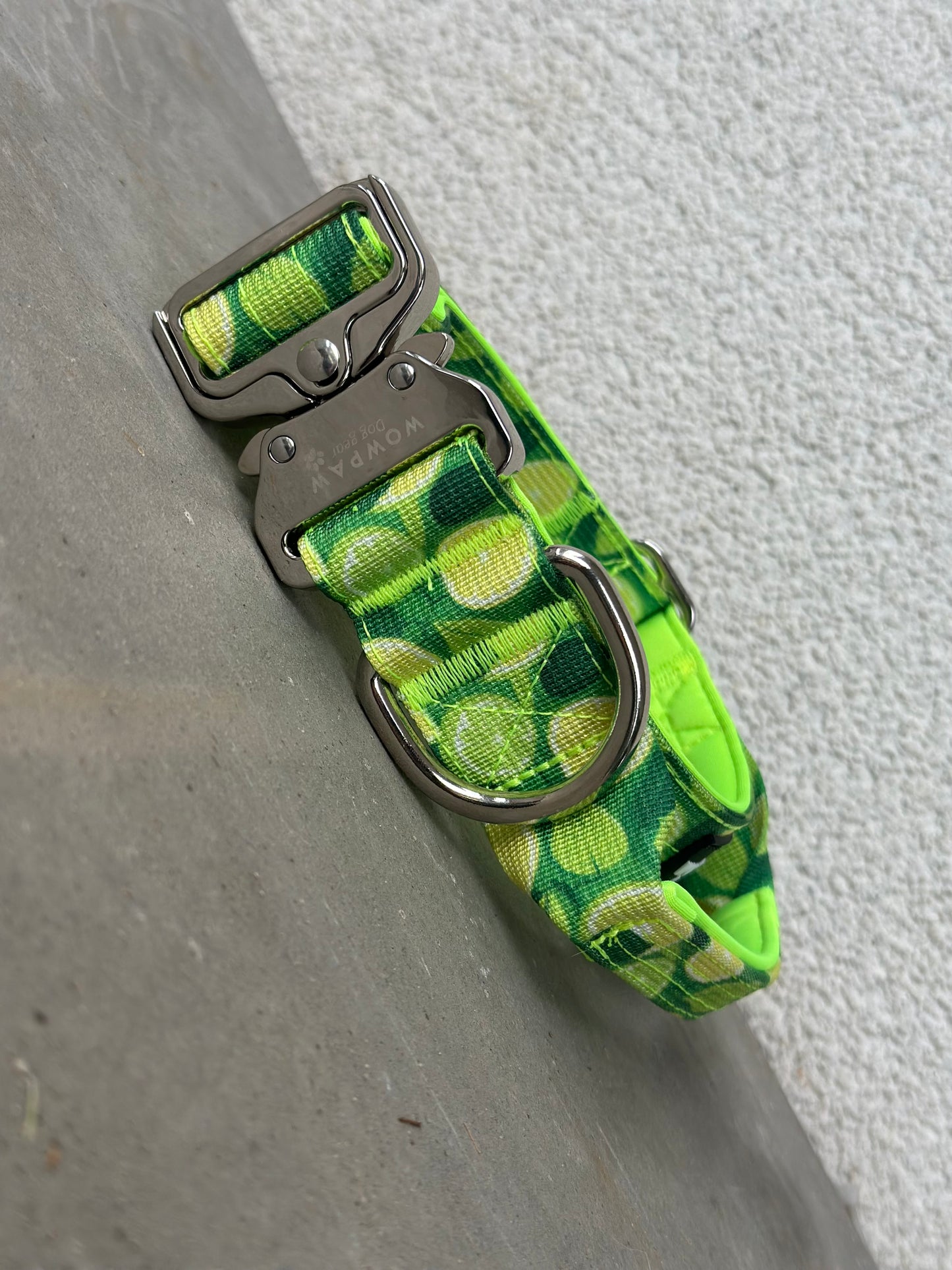 Wysokiej jakości taktyczna obroża dla psa szara rozmiar M szerokość 3,8 cm