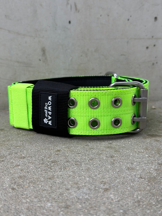 Hochwertiges Sporting Hundehalsband Neongrün Größe M