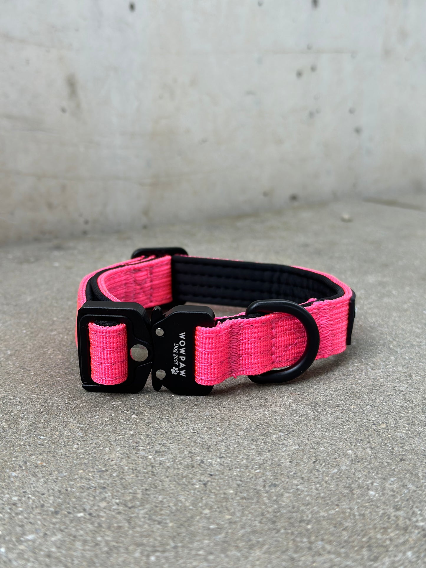 Hochwertiges taktisches Hundehalsband XXS 2cm Neonpink