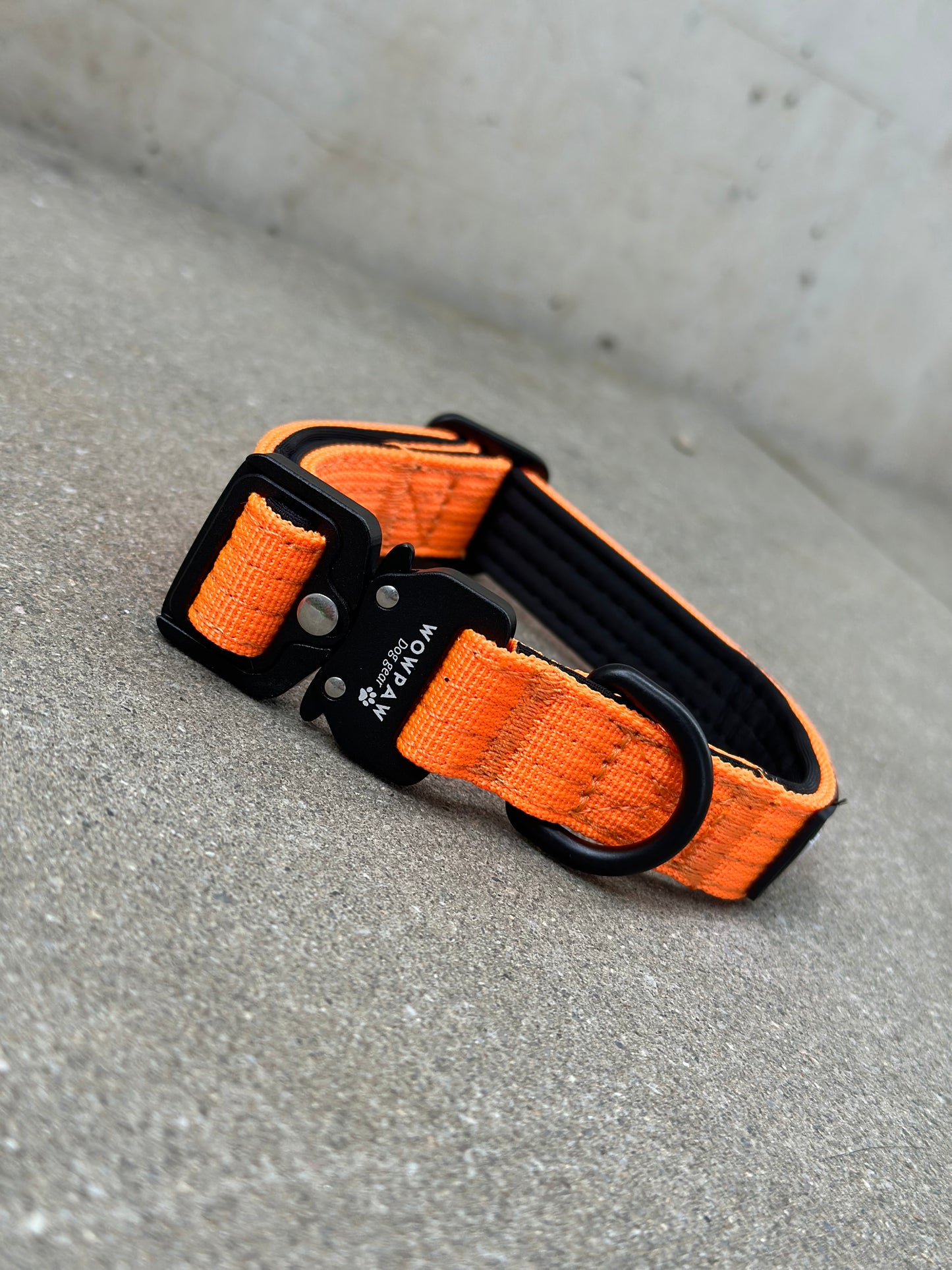 Hochwertiges taktisches Hundehalsband XXS 2cm Neonorange