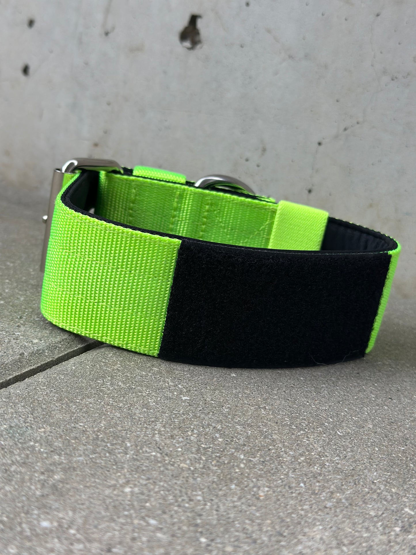 Collare per cani basic di alta qualità verde neon taglia M