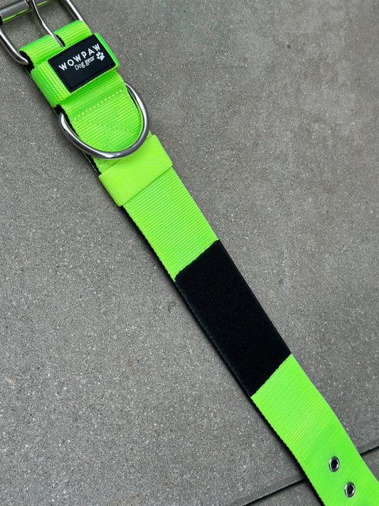 Hochwertiges Basic Patch Hundehalsband Neongrün Größe L