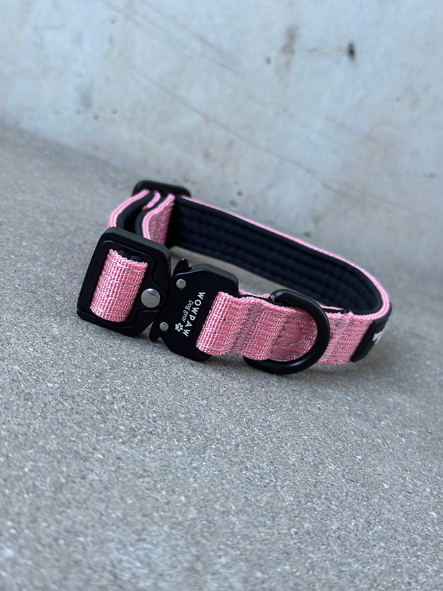 Hochwertiges taktisches Hundehalsband XXS 2cm Rosa