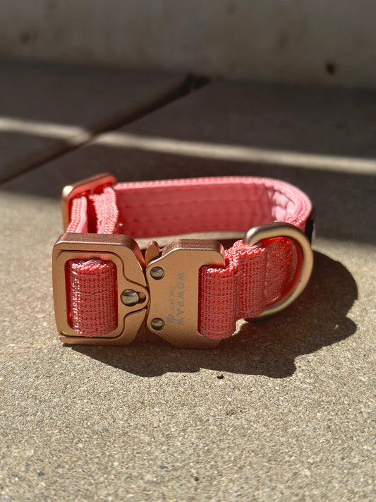 Hochwertiges taktisches Hundehalsband XXS 2cm Rosa Edition