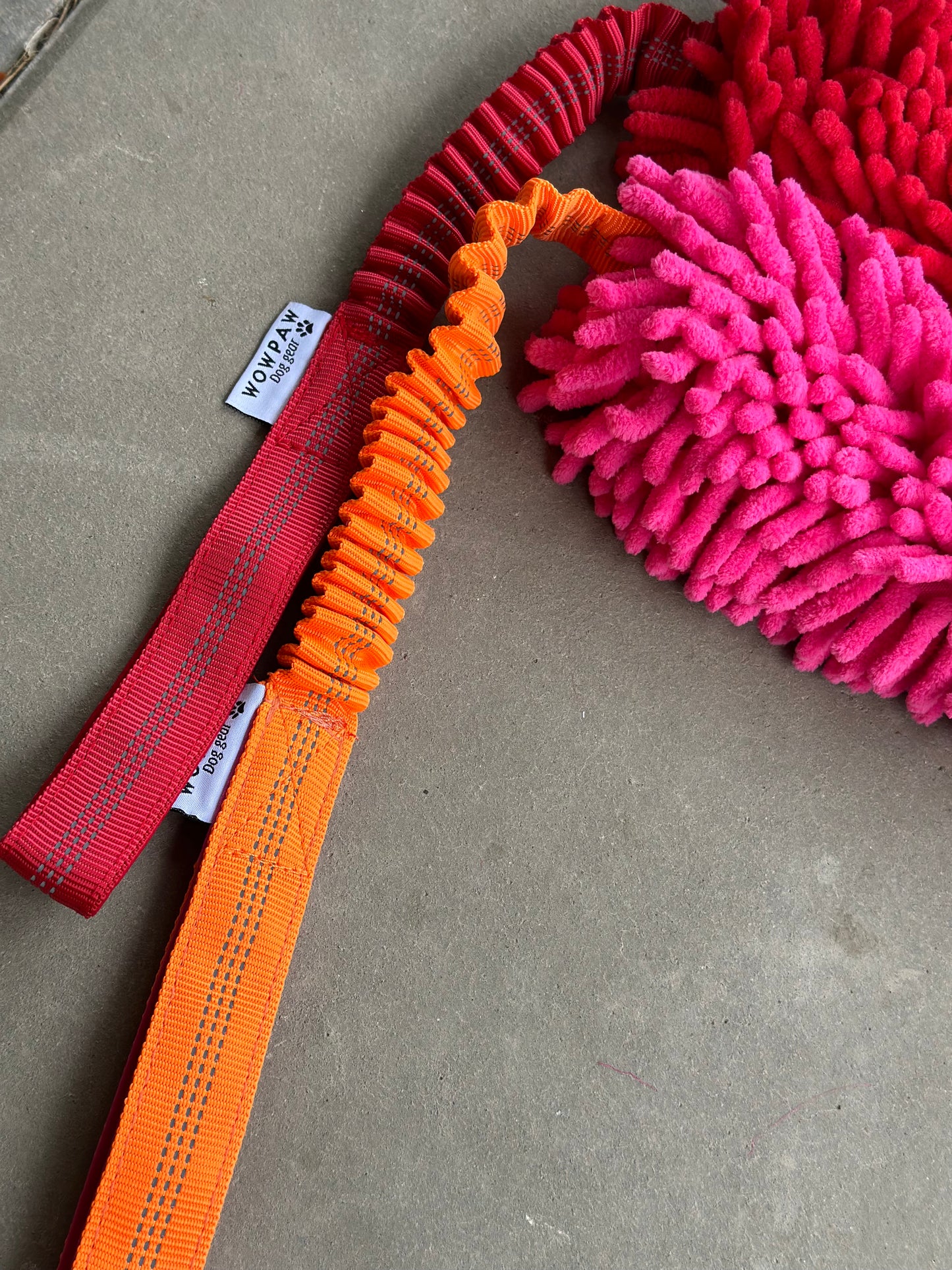 Bungee Zergel mit 2 Handschlaufen Rot und Pink