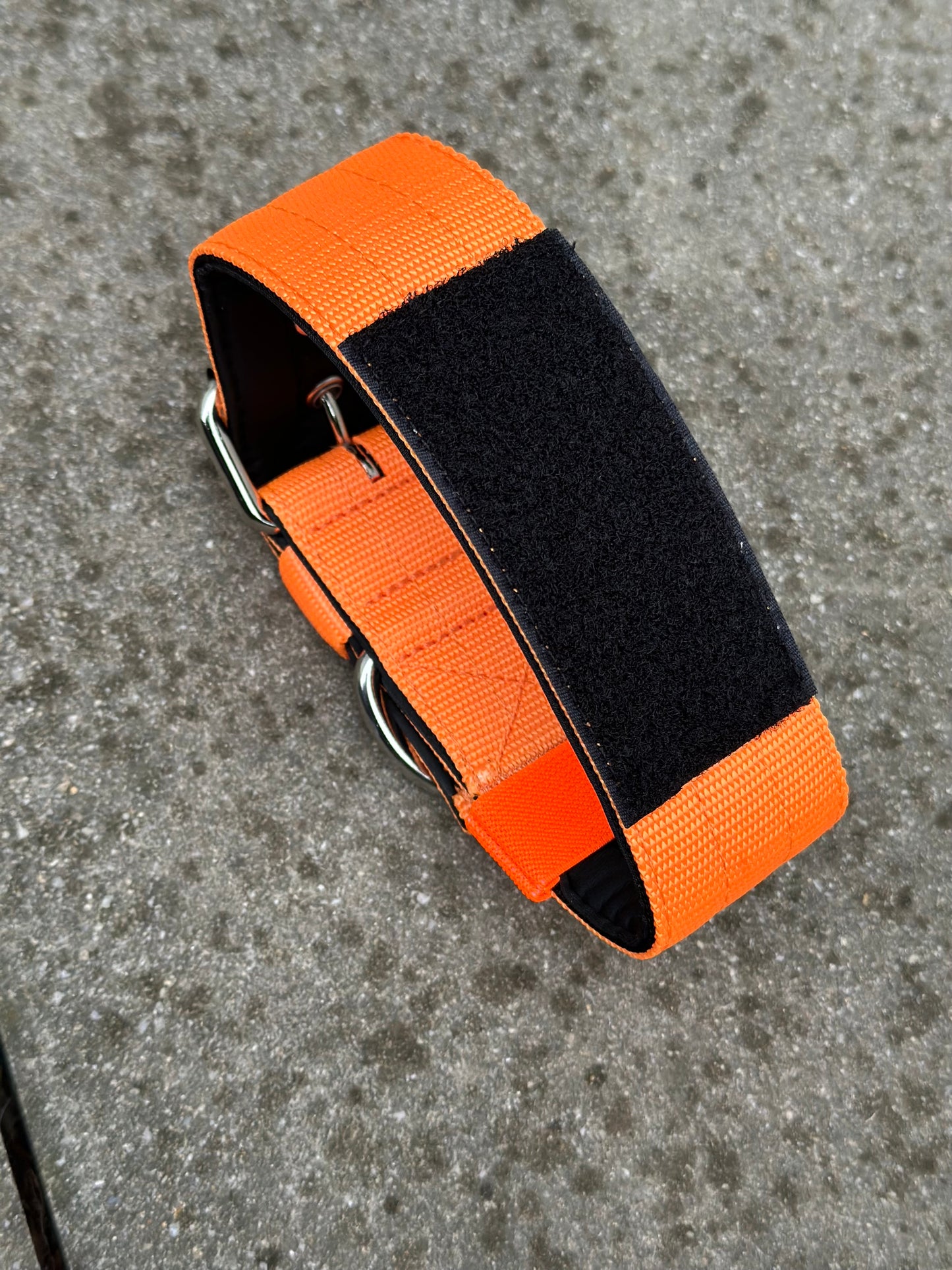 Hochwertiges Basic Hundehalsband Neonorange mit Patch Größe S