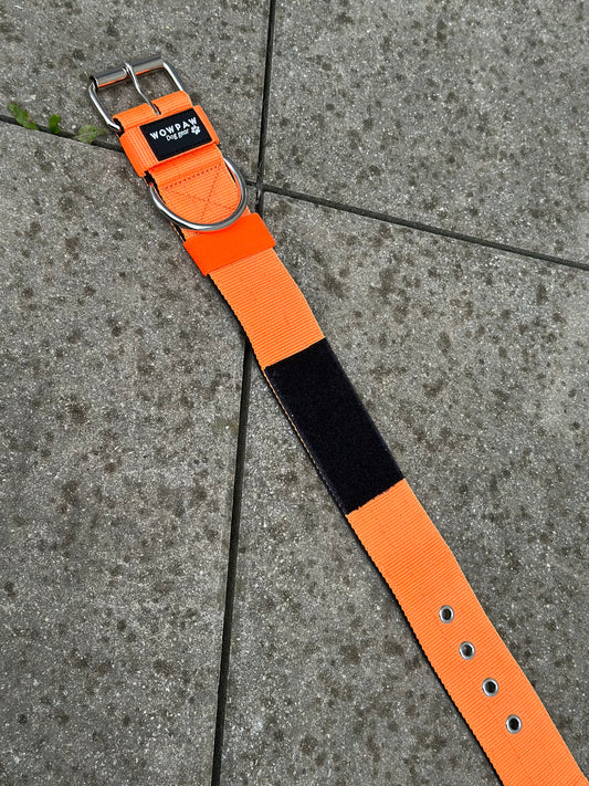 Hochwertiges Basic Hundehalsband Neonorange mit Patch Größe S