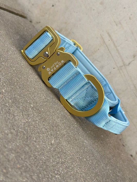 Collare tattico per cani di alta qualità turchese taglia S larghezza 4 cm