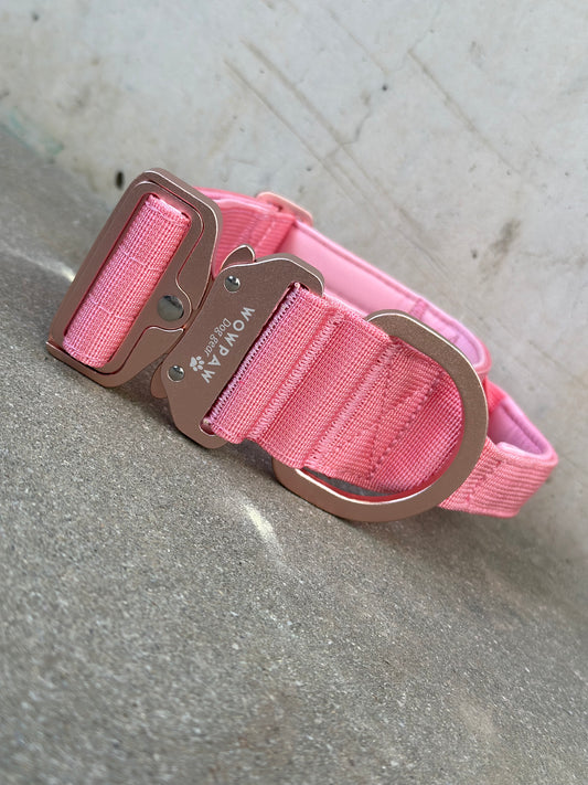 Hochwertiges taktisches Hundehalsband 5cm ULTRA LIGHT Rosa Edition Größe M