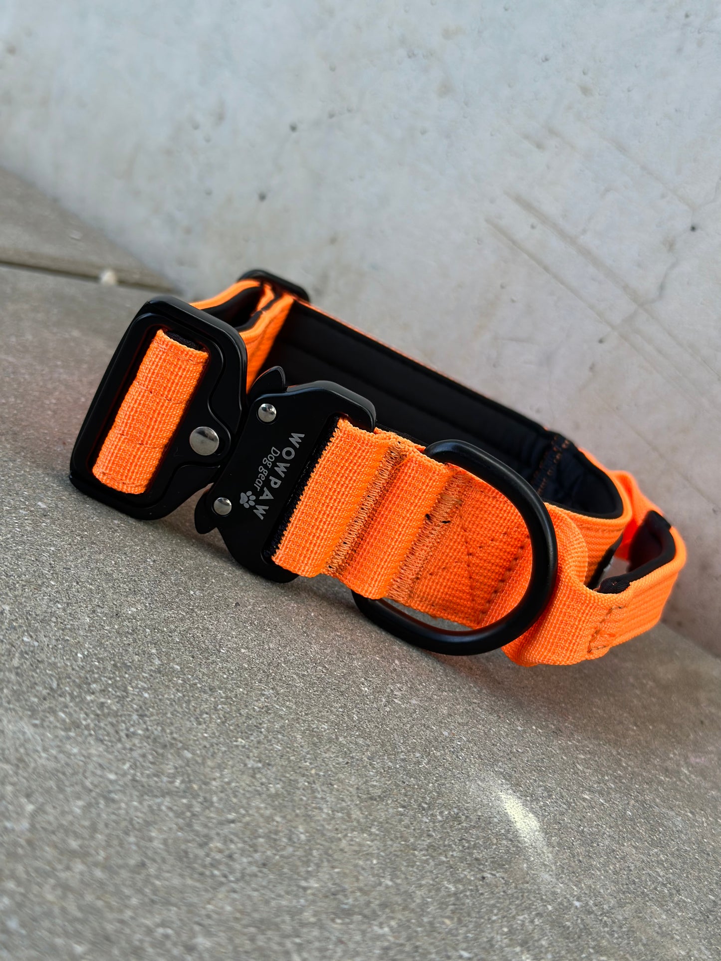 Hochwertiges taktisches Hundehalsband Neonorange Größe S Breite 3,8cm