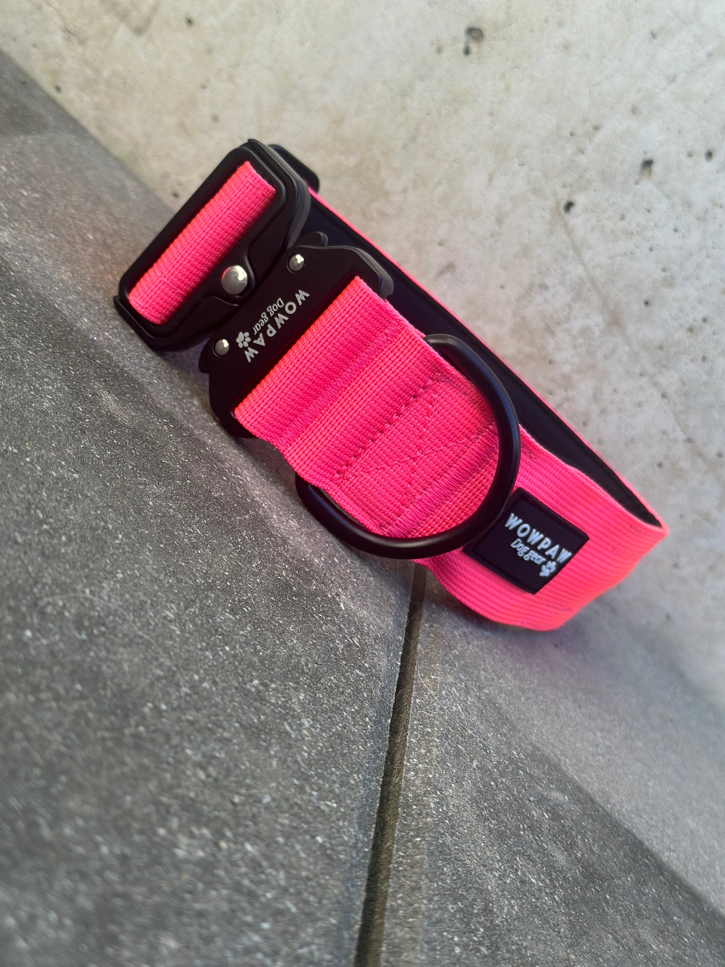 LED-Hundehalsband Neonpink Größe M