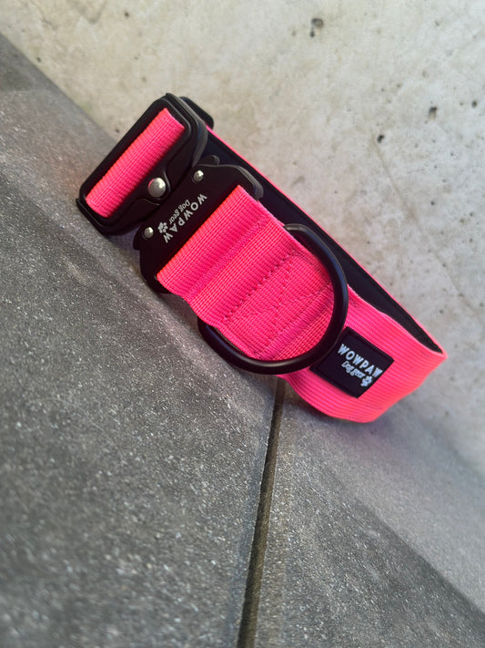 LED-Hundehalsband Neonpink Größe S