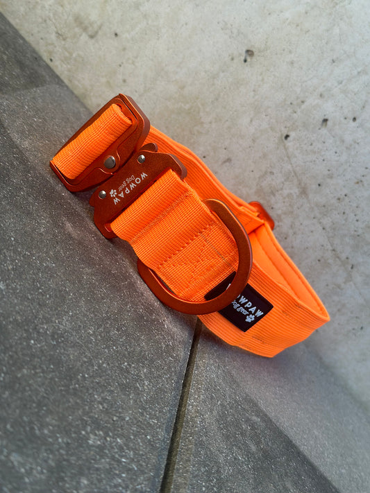 LED-Hundehalsband ULTRA LIGHT Neonorange Edition Größe M