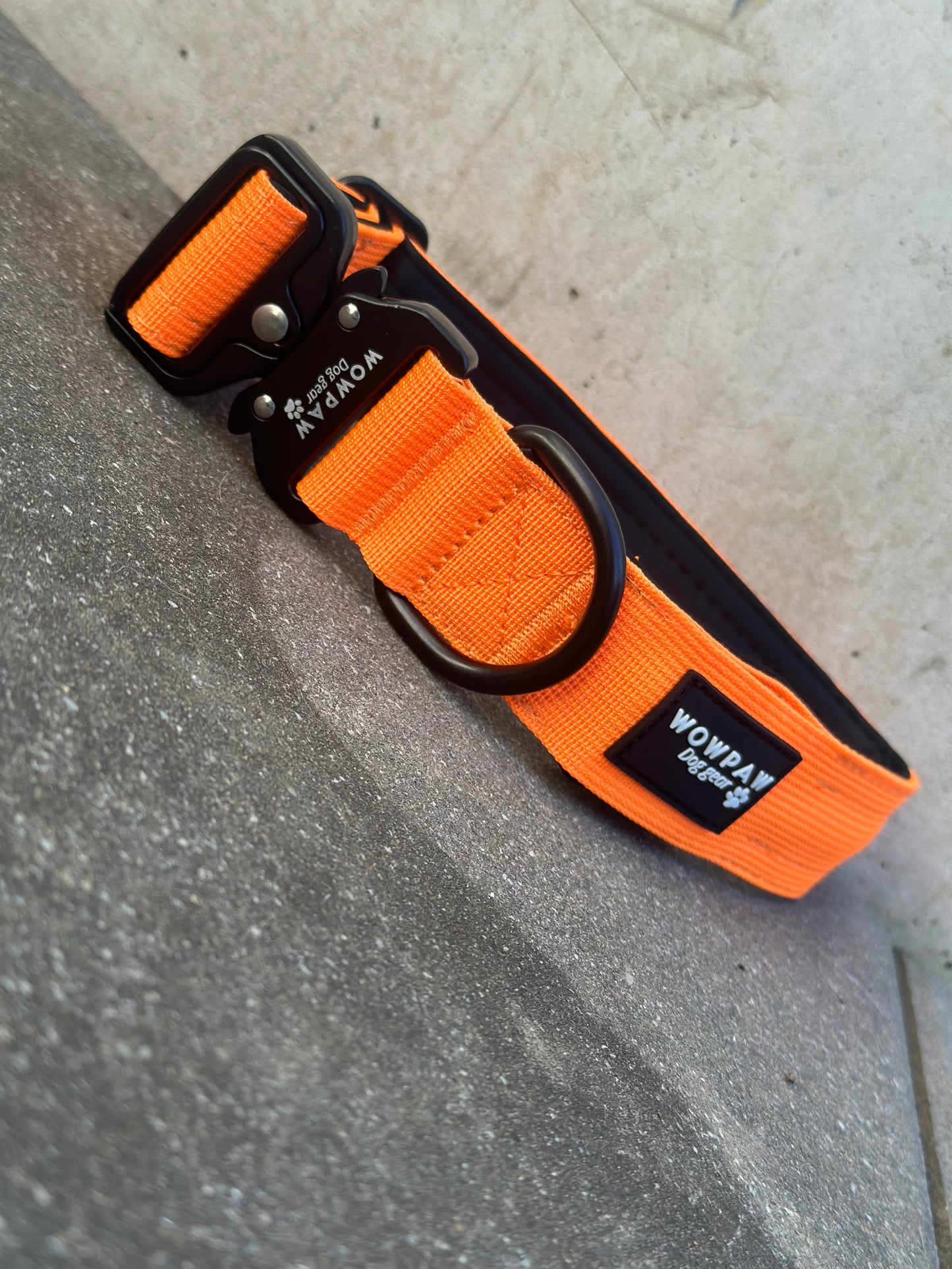 LED-Hundehalsband Neonorange Größe M Breite 3,8cm