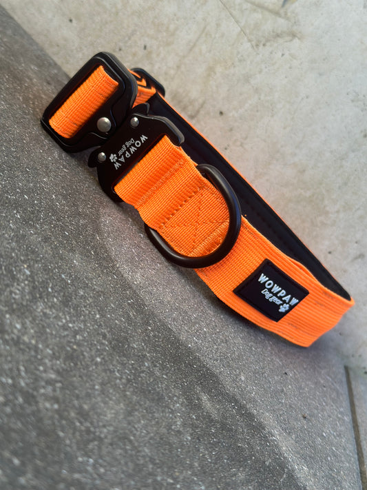 LED-Hundehalsband Neonorange Größe S Breite 3,8cm