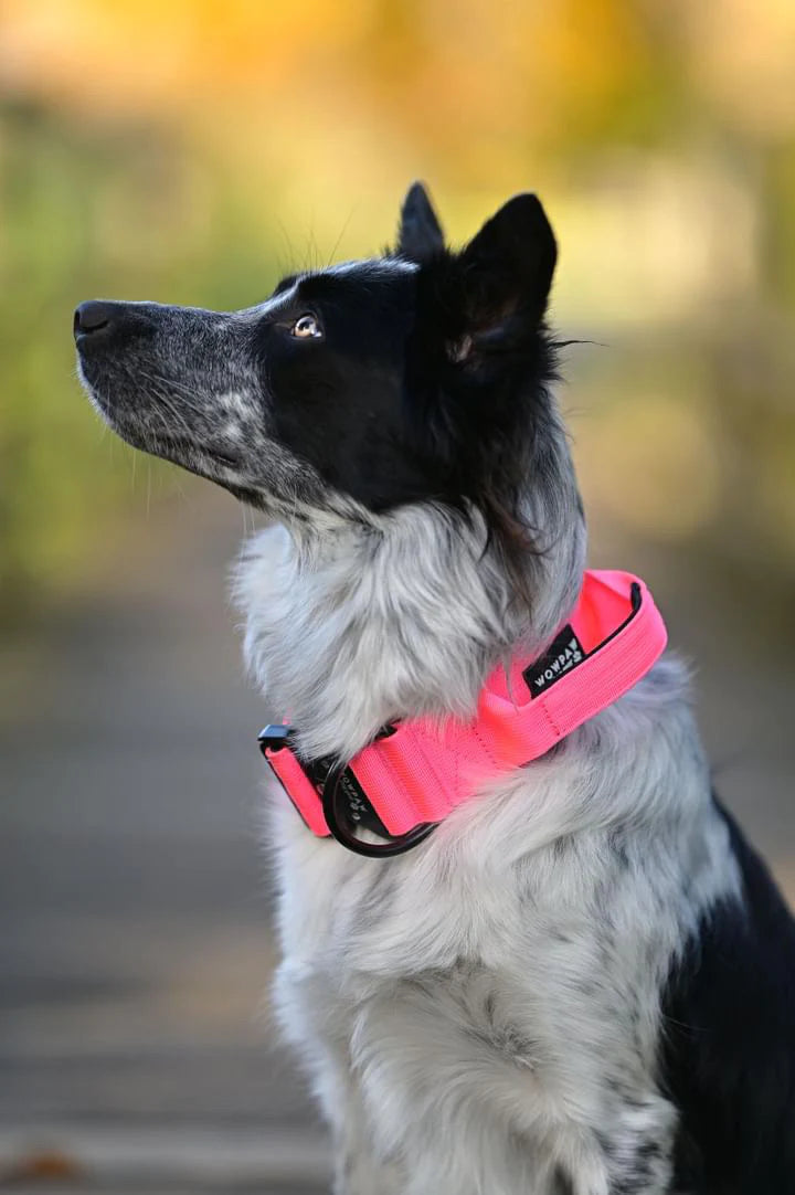 Hochwertiges taktisches Hundehalsband Neonpink Größe S