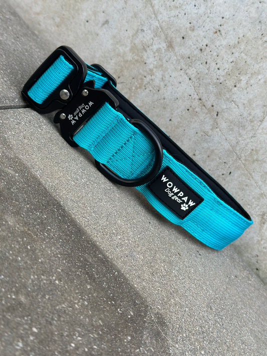 LED-Hundehalsband Blau Größe S Breite 3,8cm