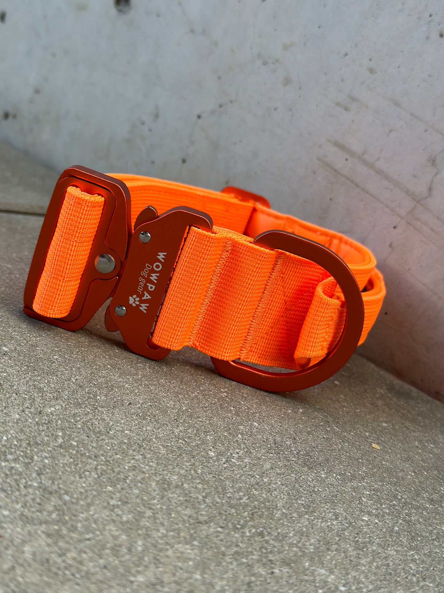 Hochwertiges taktisches Hundehalsband 5cm ULTRA LIGHT Neonorange Edition Größe M