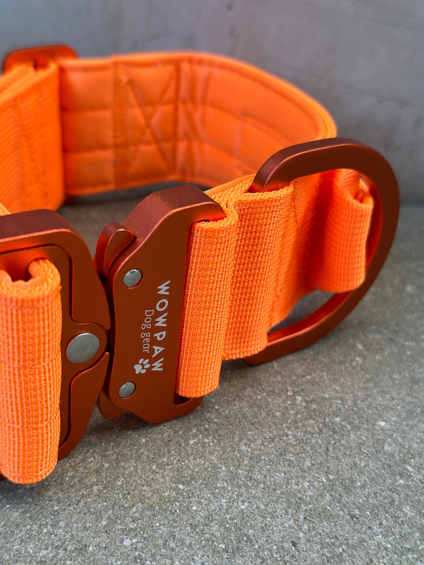 Hochwertiges taktisches Hundehalsband 5cm ULTRA LIGHT Neonorange Edition Größe S