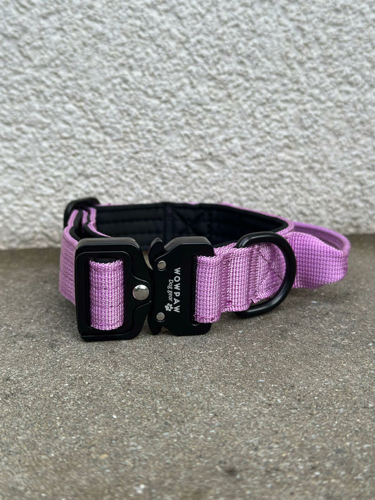 Hochwertiges taktisches Hundehalsband XS 2,5cm Hell Lila