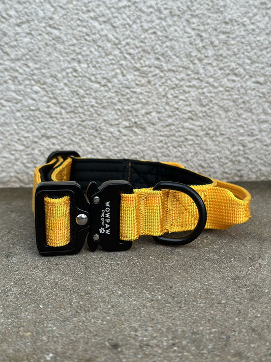 Hochwertiges taktisches Hundehalsband XS 2,5cm dunkel Gelb