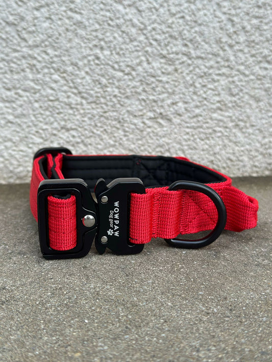 Hochwertiges taktisches Hundehalsband XS 2,5cm Rot