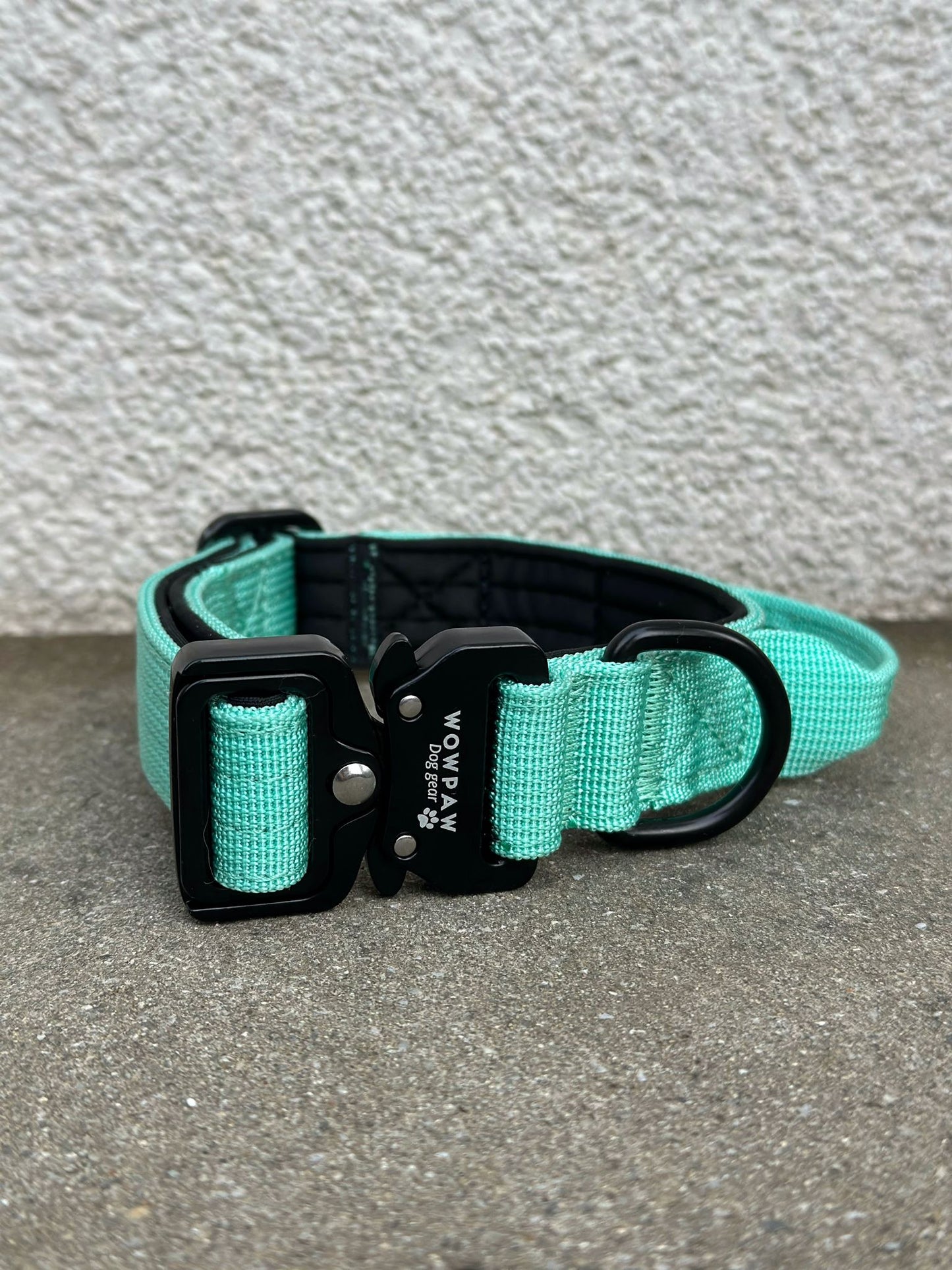 Hochwertiges taktisches Hundehalsband XS 2,5cm Mint