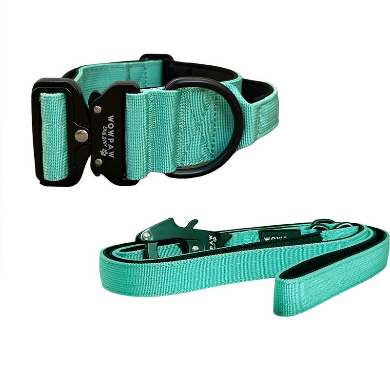 Set Taktisches Hundehalsband Mint Größe S & taktische Hundeleine Mint