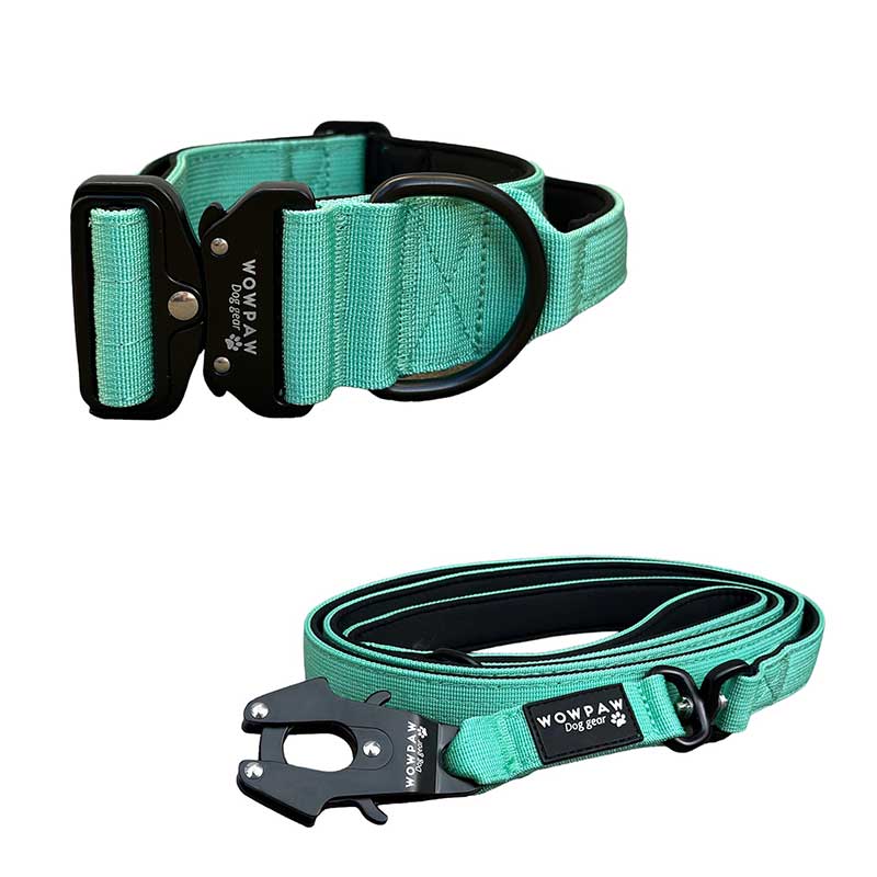 Set collare tattico per cani taglia M color menta e guinzaglio tattico per cani color menta