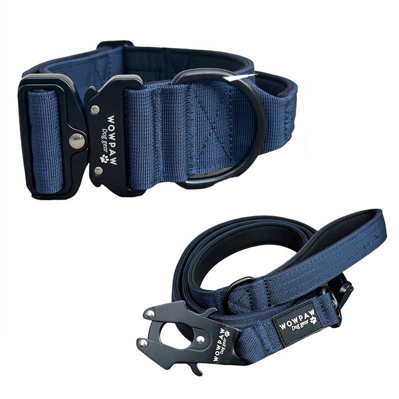 Set Taktisches Hundehalsband Navy blau Größe S & taktische Hundeleine Navy blau